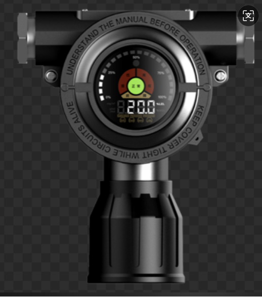 Gas detector D610