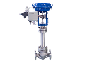 Adjusting valve with the seals of the LN81W series