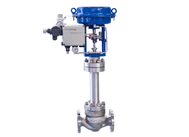 Adjusting valve with the seals of the LN81W series