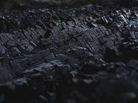 Coal Chemistry